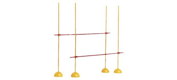 Gard antrenament cu baze (set)