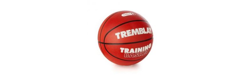 minge baschet ct training