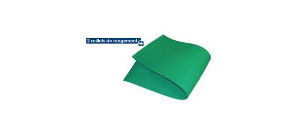 Saltea aerobic cu 2 ochiuri suport perete, 150x50 cm