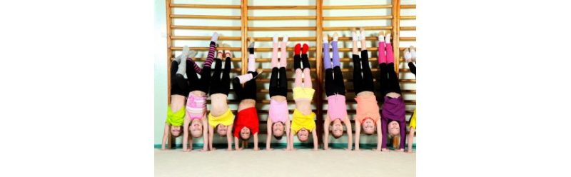 spalier gimnastica 230 m x 85 cm 1